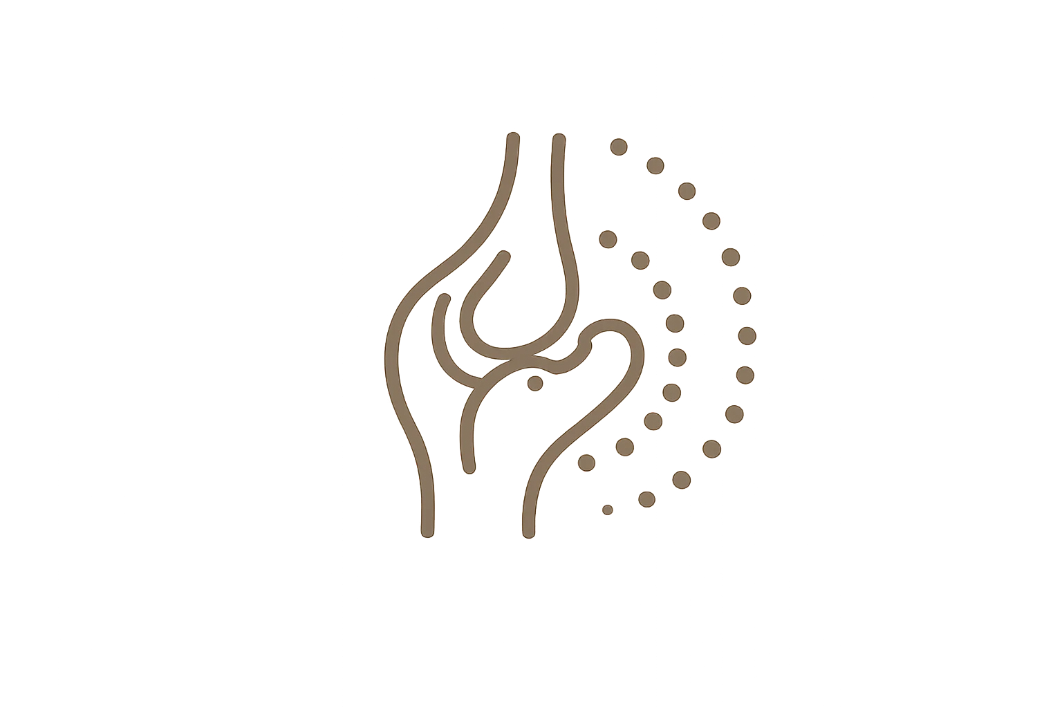 Regeneración del cartílago