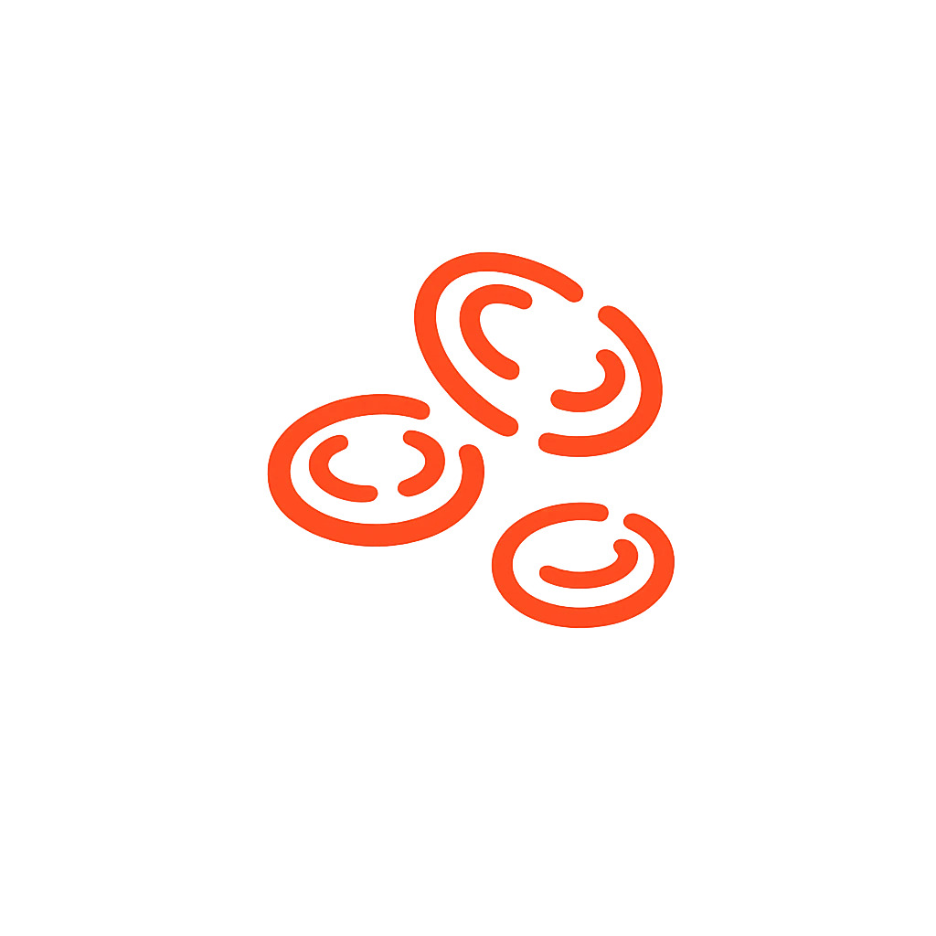 Formación de glóbulos rojos